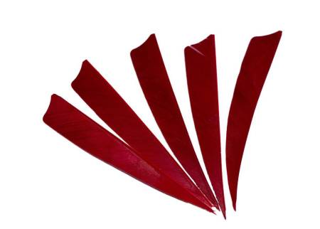 ОПЕРЕНИЕ натуральное Shield 4" Red