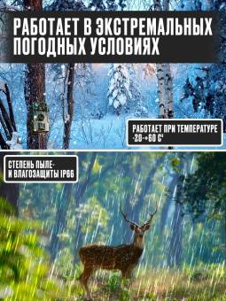 Фотоловушка для охоты 16МП "Trail Camera"