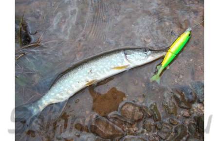 ВОБЛЕР Imakatsu Power Bill Minnow 115SP 47 Striped Hot Tiger