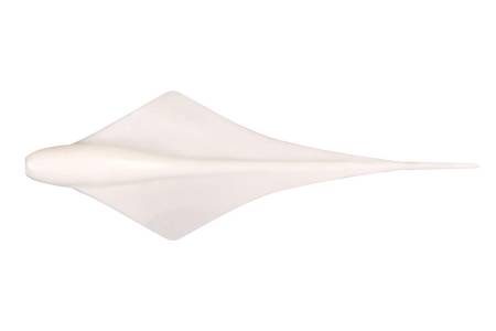 СЛАГ "2.7"(7.0) GLIDER OR49 "Akkoi"