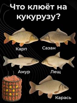 КУКУРУЗА натуральная Микс №3 1кг Зерно MIX